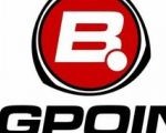 BigPoint Logo