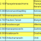 Neue Levelliste für Bahamarama