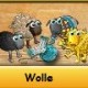 Alles zur neuen Quest: Wolle