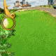 Neue Eventanzeige online