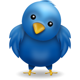 twitter bird