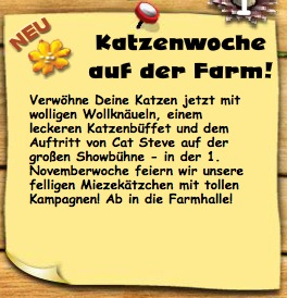 Katzenwochen Start