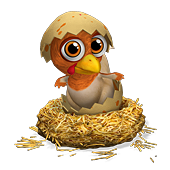 payment_crazy_chicken_pet_big