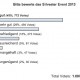 Silvester Event I: Umfrage