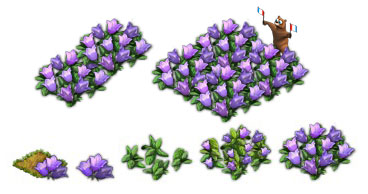 frankreich-2013-eventpflanze-glockenblume