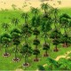 Sonderbäume auf Bahamarama