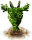 ziegenmilchbaum