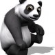 Pandas in der Vorbereitung