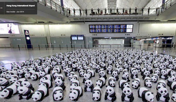 pandas