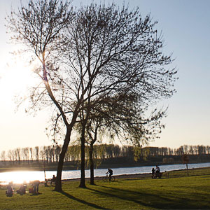 rhein-fruehling