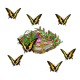 Kommt die Schmetterling Werkstube?