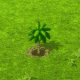 Großes Bahamarama Update